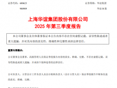 华谊集团2025年三季度轮胎业务逆势增长，双钱轮胎营收达87.96亿元