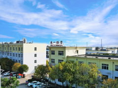 溴系阻燃剂龙头企业被收购！