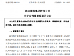 海安集团董事辞职