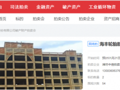 立志年营收24亿轮胎工厂破产拍卖