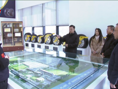 大连市委副书记、市长李强调研固特异